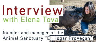 Elena Tova: The First Sanctuary in Spain