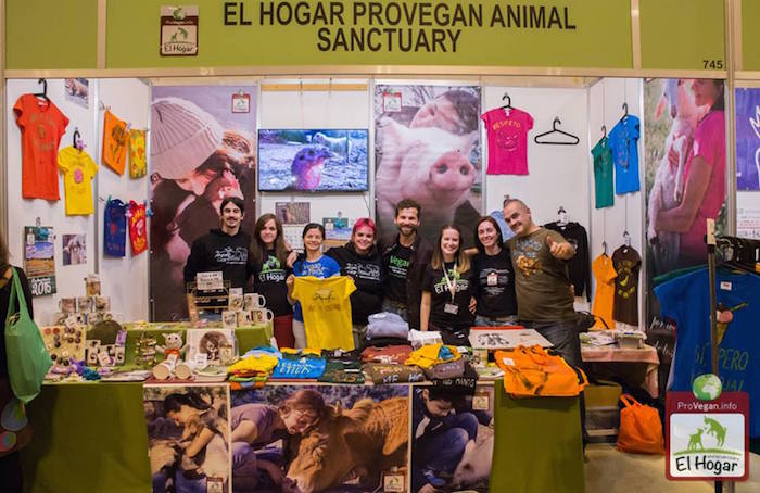 Activismo